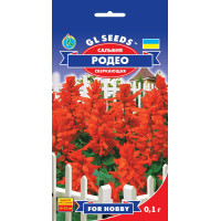 Сальвія Родео, 0,1 г, GL SEEDS