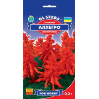 Сальвія Алегро, 0,2 г, GL SEEDS
