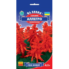 Сальвія Алегро, 0,2 г, GL SEEDS