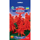 Сальвія Алегро, 0,2 г, GL SEEDS