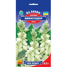 Сальвія Амбасадор, 0,2 г, GL SEEDS