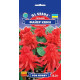 Сальвія Фаєр Квін, 0,2 г, GL SEEDS