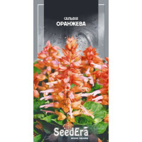 Сальвия Сплендес оранжевая