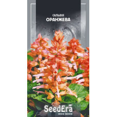 Сальвия Сплендес оранжевая
