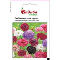 Скабіоза махрова суміш 0.3 г, Садиба