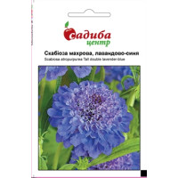 Скабиоза махровая, смесь