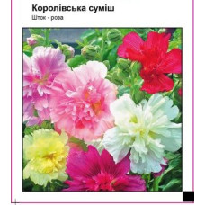 Мальва (шток-роза) Королевская смесь