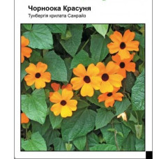 Тунбергія Чорноока красуня 0.1 г, Садиба