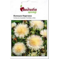 Волошка Наречена, біла, 0,3 г, Садиба Центр
