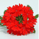 Вербена Obsession® Cascade Scarlet, 1000 шт, Syngenta