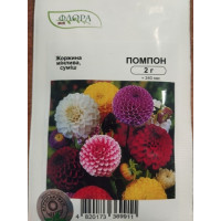 Жоржина мінлива Помпон, 2 г, Агропакгруп