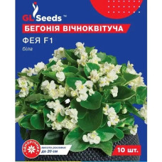 Бегонія Фея біла F1 10 шт, Gl Seeds