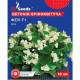 Бегонія Фея біла F1 10 шт, Gl Seeds