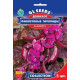 Доліхос Фіолетові гірлянди, 5 шт, GL SEEDS