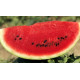 Кавун Fiesta F1 Фієста (CRX 10491), 50 шт, Cora seeds