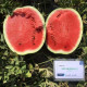 Кавун Red Heaven F1, 5 шт, Seminis