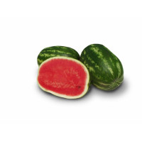 Кавун Юта F1 50 шт, Spark Seeds