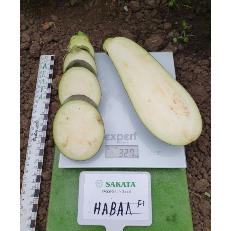 Баклажан НАВАЛ F1, 250 шт, Sakata