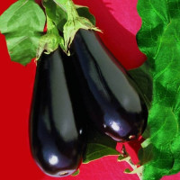 Баклажан Епік F1, 25 шт, Seminis