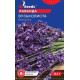 Лаванда Вузьколиста 0,1 г, Gl Seeds