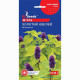 М'ята Золотий Ювілей 0,15 г, Gl Seeds