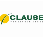 Clause (Франція)