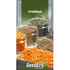 Чечевица