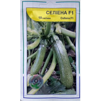 Кабачок Селіена / Celiena F1 10 шт, Агропакгруп