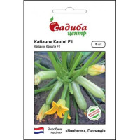 Кабачок Кавили F1