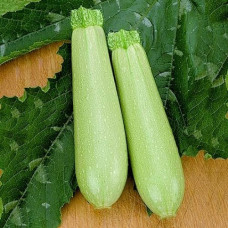 Кабачок Eskenderany F1 Іскандер, 5 шт, Seminis