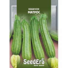 Кабачок Матрос