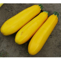 Кабачок Голдстік F1 5 шт, Spark Seeds