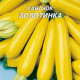Кабачок Золотинка