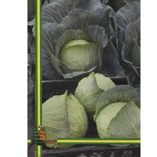 Капуста Бірюза 10 г