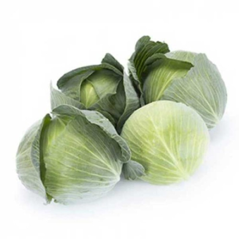Капуста білокачанна Кабінет F1 2500 шт, Тирас