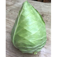 Капуста Агро F1 100 шт, Spark Seeds