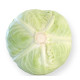 Капуста білокачанна Джинтама RZ F1 2500 шт, Rijk Zwaan