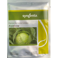 Капуста білоголова Агресор F1, 2500 шт, Syngenta