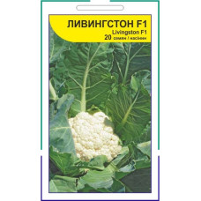 Капуста цветная Ливингстон F1
