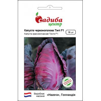 Капуста коническая Тинти F1