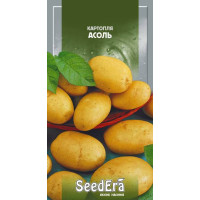 Семена картофеля Ассоль