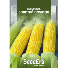 Кукуруза сахарная Золотой початок