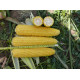 Кукурудза цукрова Добриня F1 25000 шт, Spark Seeds