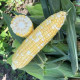 Кукурудза цукрова біколор Казіно F1 25 шт, Spark Seeds