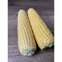 Кукурудза цукрова Світ Лакі F1 250 шт, Spark Seeds