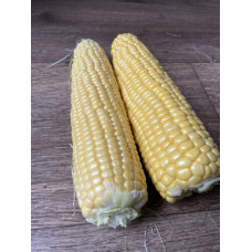 Кукурудза цукрова Світ Лакі F1 25 шт, Spark Seeds