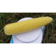 Кукурудза цукрова Страйк F1 (1525 F1)  25 шт, Spark Seeds