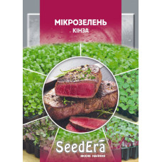 Микрозелень Кинза