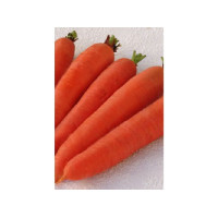 Морковь   "Цидера "  100 г