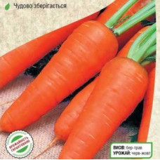 Морковь "Кампино"